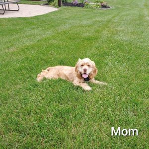 mom